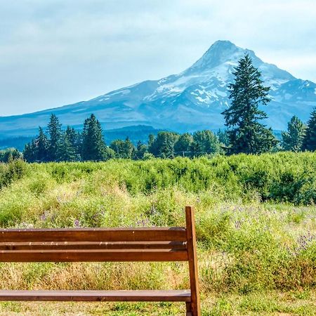 Willa Mount Hood Vista Parkdale Zewnętrze zdjęcie